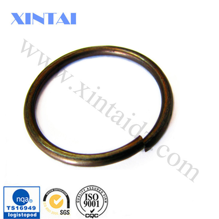 ISO 9001 Customized Hot Sale Snap Spring