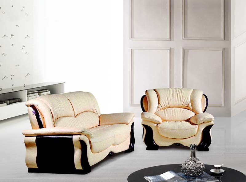 Genuine Leather Sofa (A04#)