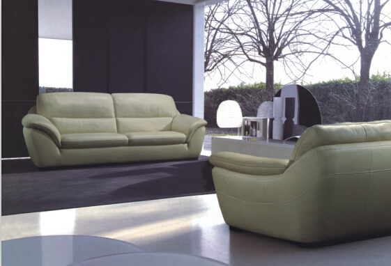 Home Furniture Modern Sofa Leather Sofa Furniture Sofa