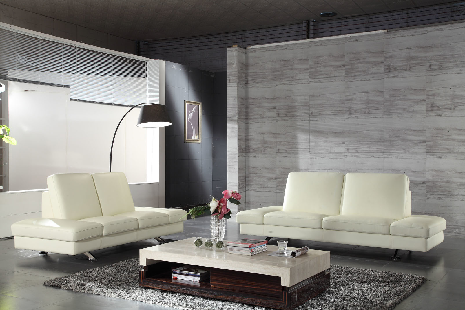 Modern Living Room Sofa with Genuine Leather Sofa (HC7336)