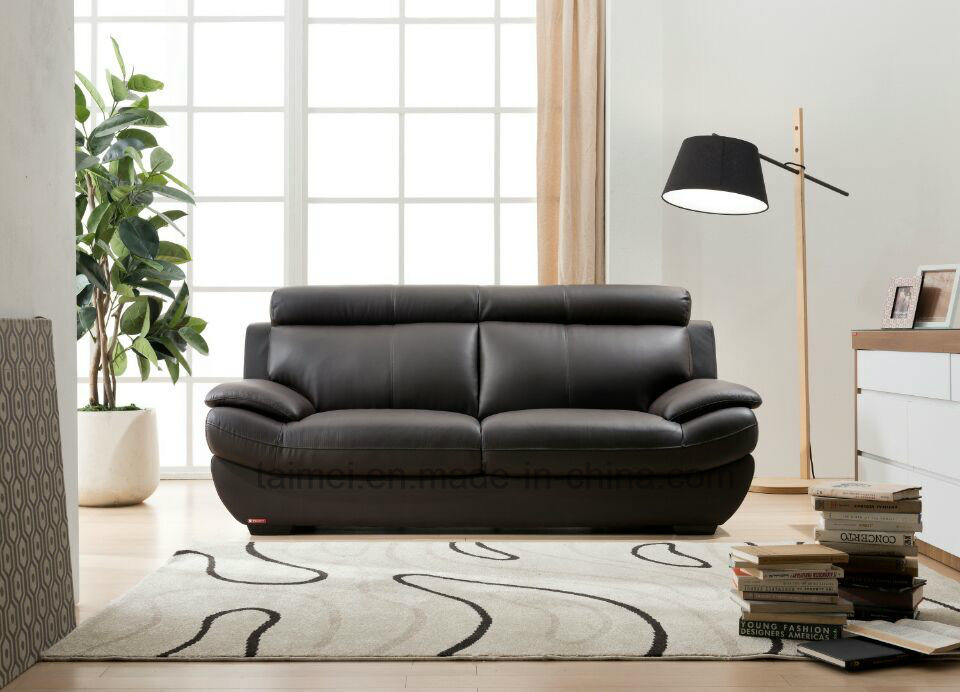 American Modern Genuine Leather Sofa
