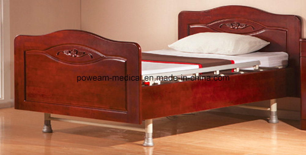 Family Two Function Electric Bed (FM-4)