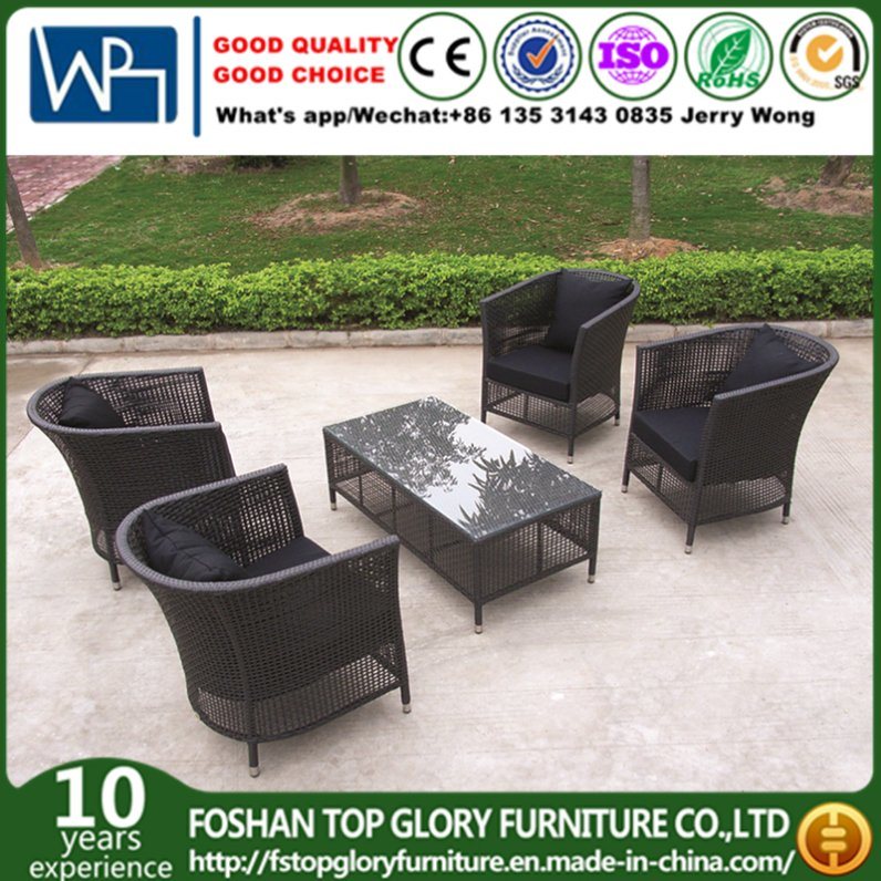 Outdoor Rattan Sofa for Garden with Steel Pipe SGS (TG-JW52)