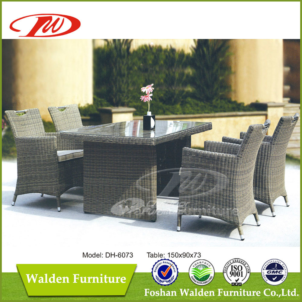 Luxury Rattan Dining Set/Outdoor Dining Table (DH-6073)