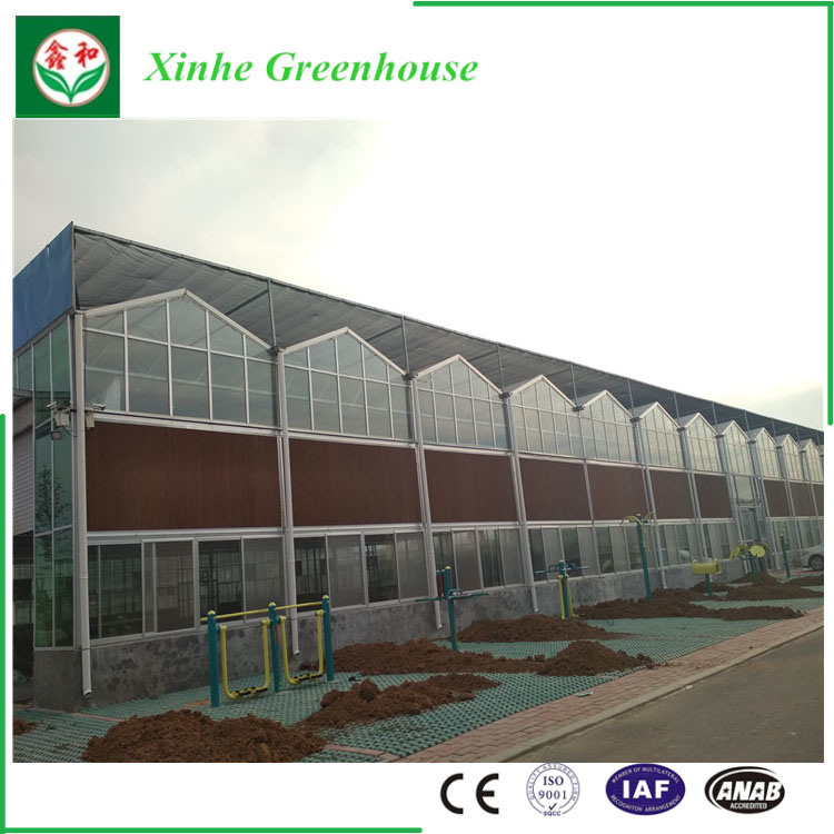 Xinhe Greenhouse Glass Manufacturer, Float Glass Greenhouse