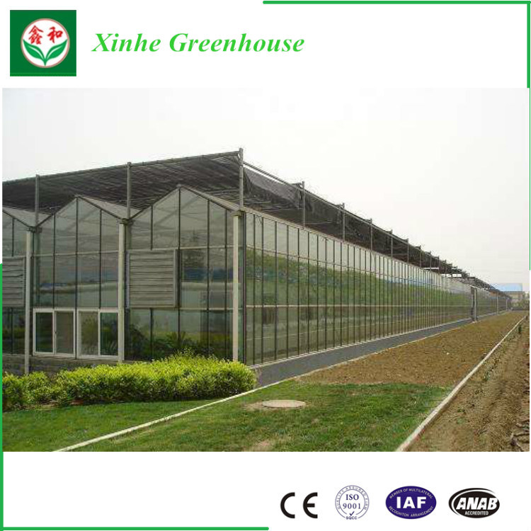 Xinhe Greenhouse