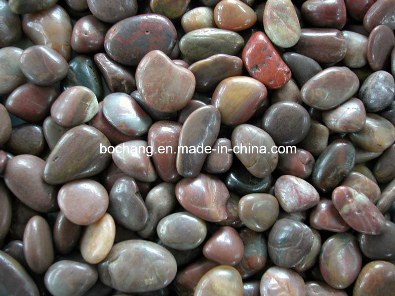 Popular Colorful Natural Stone Pebble for Landscape or Garden