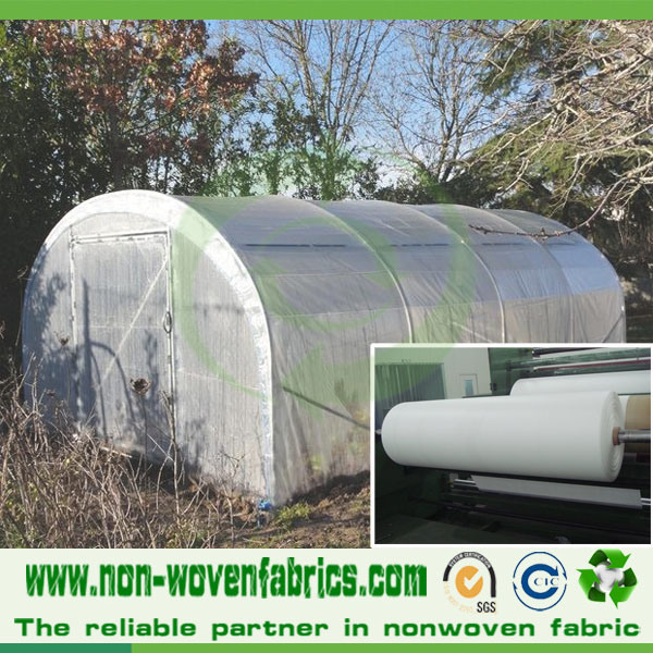 Spunbonded Nonwoven Fabric for Agriculture Tree Cover