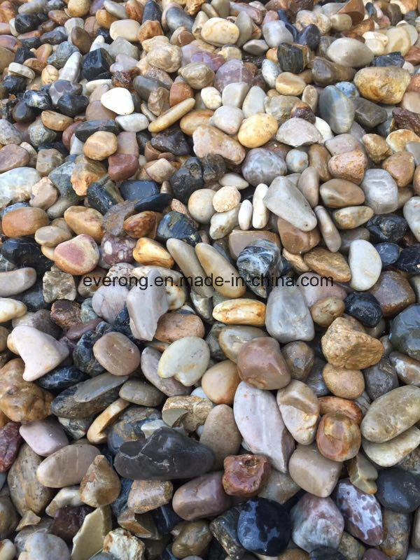 Natural Multi-Colors Oval Pebble Stone for Paving Garden
