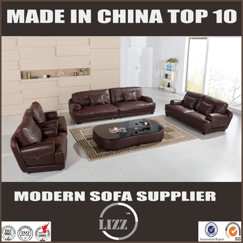 Modern Genuine Leather Sofa for Living Room Divany