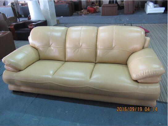 Moder Sofa with Genuine Leather Sofa for Living Room Sofa
