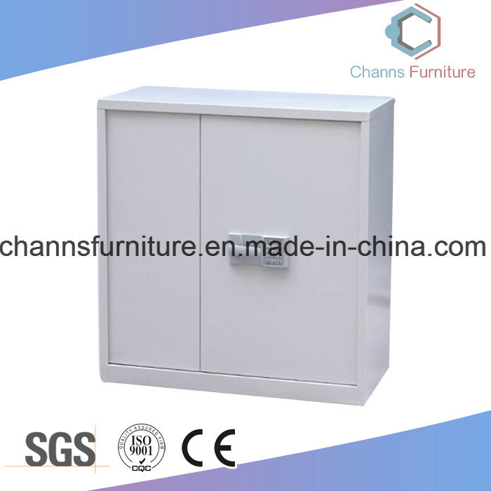 Precosion Custom Galvanzied Steel File Cabinet with Password