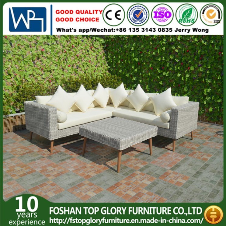 PE Rattan & Aluminum Furniture, Outdoor Garden Sofa (TG-6005)