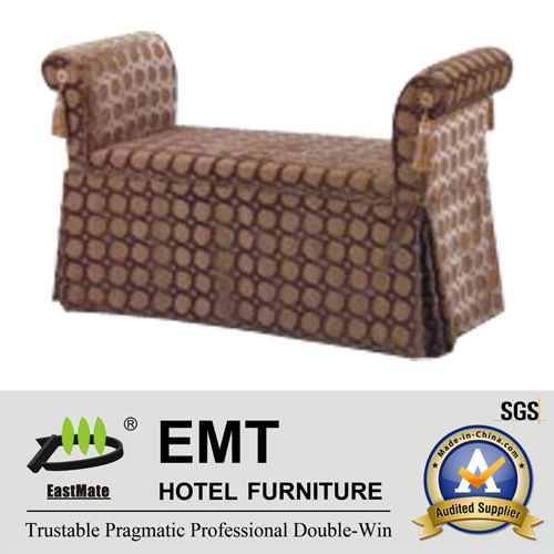 Unique Design Longue Modern Furniture Queen Sleeper (EMT-LC06)