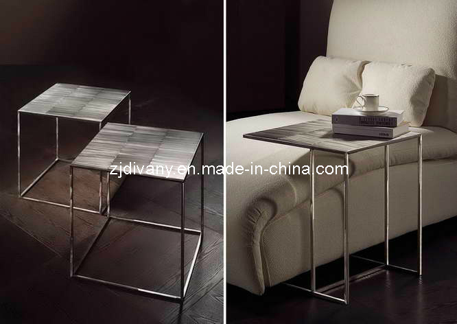 Modern Stainless Steel Frame Wooden Tea Table Coffee Table (T-04 & T-05)