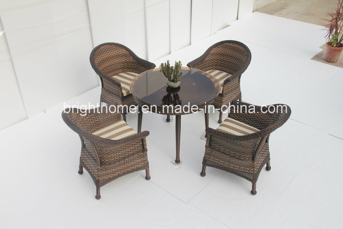 Dining Set New Design Wicker Furniture/Patio Garden Outdoor Furniture (BP-3017)