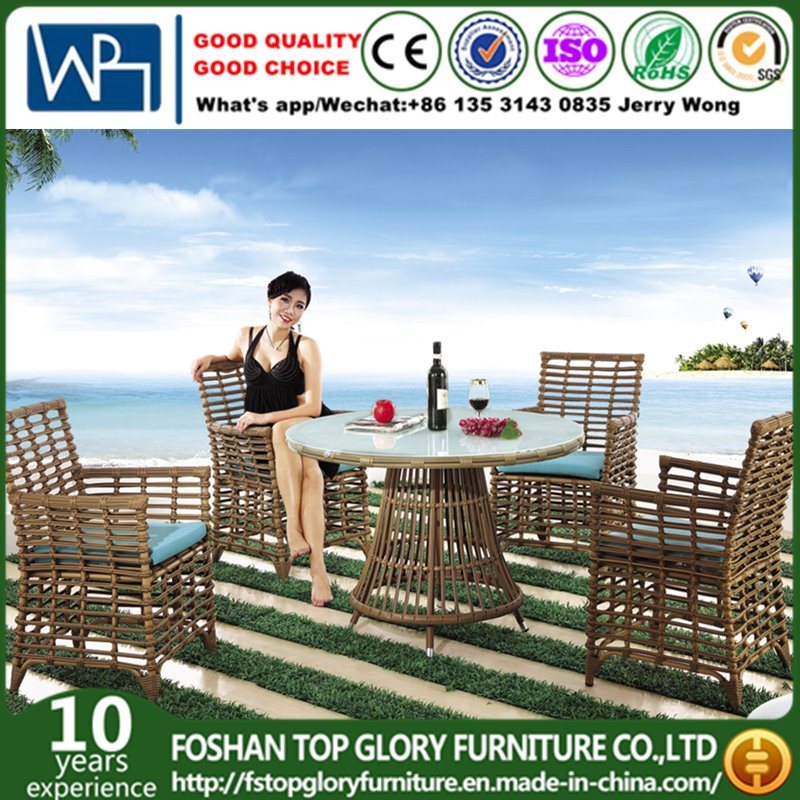 Modern Leisure Outdoor Furniture Rattan Garden Wicker Dining Table and Chairs (TG-1303)