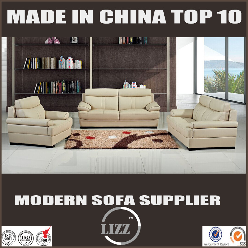 Contemporary Genuine Leather Sofa (Lz551)