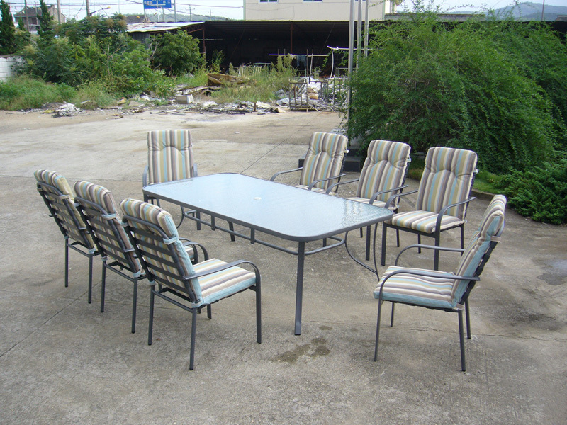 Lounge Dining Table and 8 Chairs Garden Outdoor Furniture (FS-4020+4207)