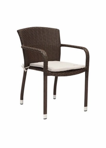 Outdoor Furniture Rattan Garden Chair (BM-5160)