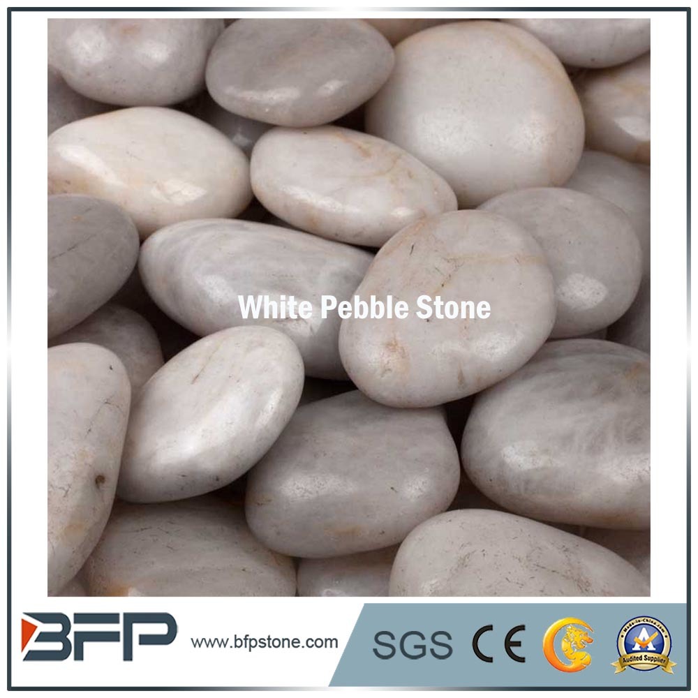 White Round Pebble Stone Wholesale for Garden and Landscaping