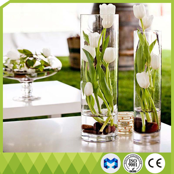 Home Decoration Tall Glass Vases Cylinder Shape Flower Glass Vase