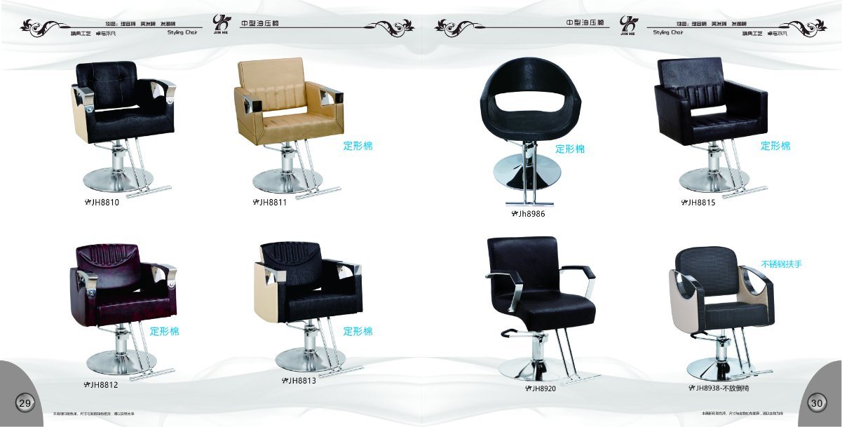 Recling Chair Hydraulic Chair Salon Chair Salon Station Chair