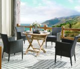 Outdoor Rattan Home Hotel Office Garden Chair Table Santika Seattle Round Wicker Dining Chair (J6366)
