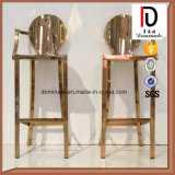 Leisure Fashionable Stainless Steel Paired Bar Chair