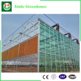 Commercial Glass/Tempering Glass/Float Glass Greenhouse for Agriculture