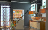 High Gloss Flower Design UV Kitchen Cabinet (zs-419)