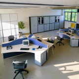 Modern Metal Frame 3 Person Workstation Office Partition (SZ-WST634)
