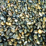 Polished Striped Pebble Stone for Decoration