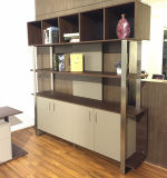 New Design High Qualitystorage Cabinet Bookcase (G16)