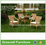 Garden Patio Wicker Rattan Outdoor Furniture (GN-8645D)