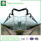 Low Cost Plastic Film Greenhouse for Commercial Sales