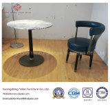 Simple Hotel Furniture with Small Marble Coffee Table (YB-AM-1)