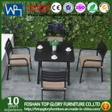 Garden Furniture Sets Dining Table Sets with Cushion Outdoor Furniture Tg-Hl808