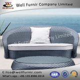 Well Furnir Rattan Sofa with Cushion WF-17018