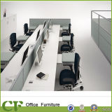 4 Seats 6 Seats 8 Seats OEM Office Workstation Table Standard Sizes of Workstation Furniture