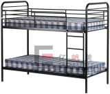 Student Dormitory Metal Frame Steel Frame Bunk Bed