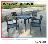 Comfortable Outdoor Synthetic Ploywood Top Dining Table and Chair (TG-1333)
