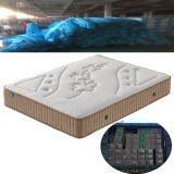 Luxury Five Zone Pocket Spring Mattress Vacuum Roll in Box for Online Sales