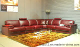Living Room Genuine Leather Sofa (H3016)