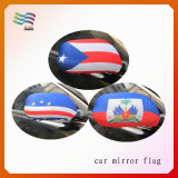 All National Car Mirror Flag for Decoration/Advertising (HYCM-AF027)