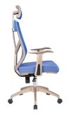 Modern Premium Office Executive or Conference Chair (PS-NL--5066-2-G)