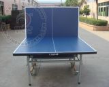 Double-Folding Table Tennis Table (TE-08)