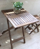 Solid Wood Folding Table with High Quality (M-X3006)
