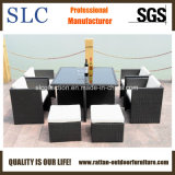 Rattan Table and Chair Set/Outdoor Dining Table Set (SC-A7222)