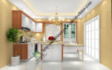 Latest New Design PVC Kitchen Cabinet (zs-469)